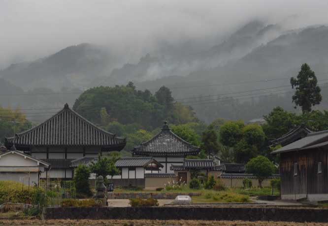 恵みの雨_e0092186_1141274.jpg