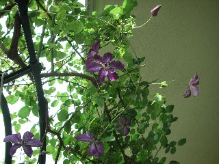 c0108693_22360100.jpg