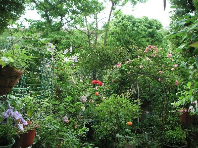 c0108693_2238156.jpg