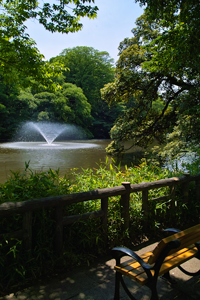 井の頭恩賜公園 その1_d0069398_10304061.jpg