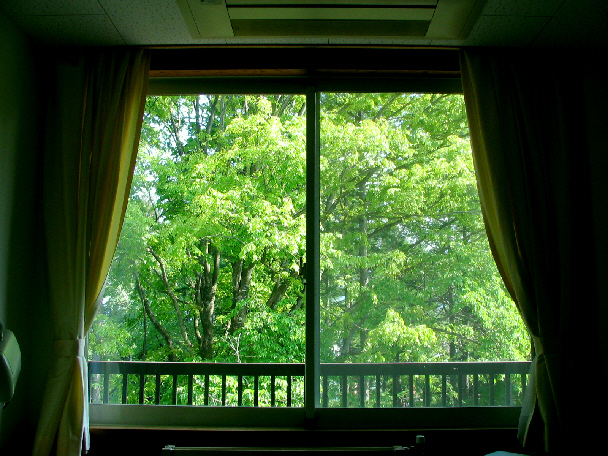 病室の窓 写真俳句 一日一写句