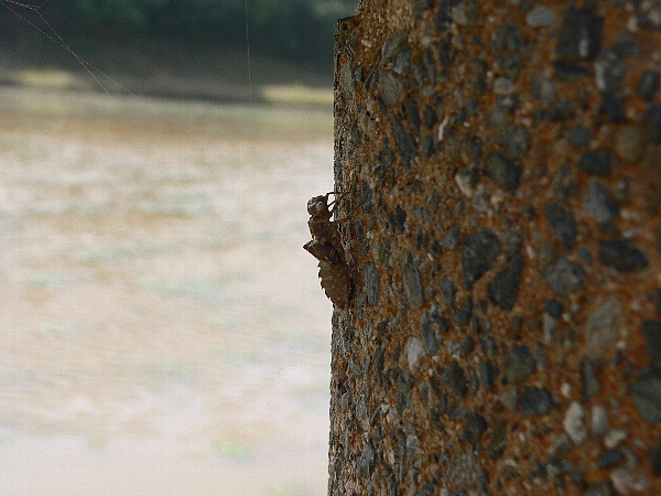 福岡地区　島散策　潮の香り_e0002314_20125712.jpg