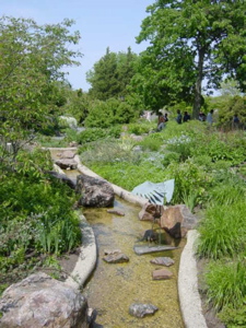 f0102814_67582.jpg
