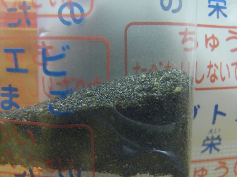 ペンギンカフェとカブトエビ_c0025115_161931.jpg
