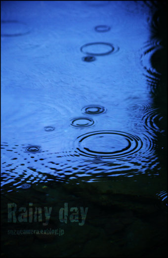 雨の一日_f0100215_1668.jpg