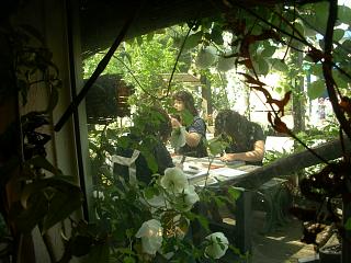 番長庵での初レッスン_c0102228_19401019.jpg