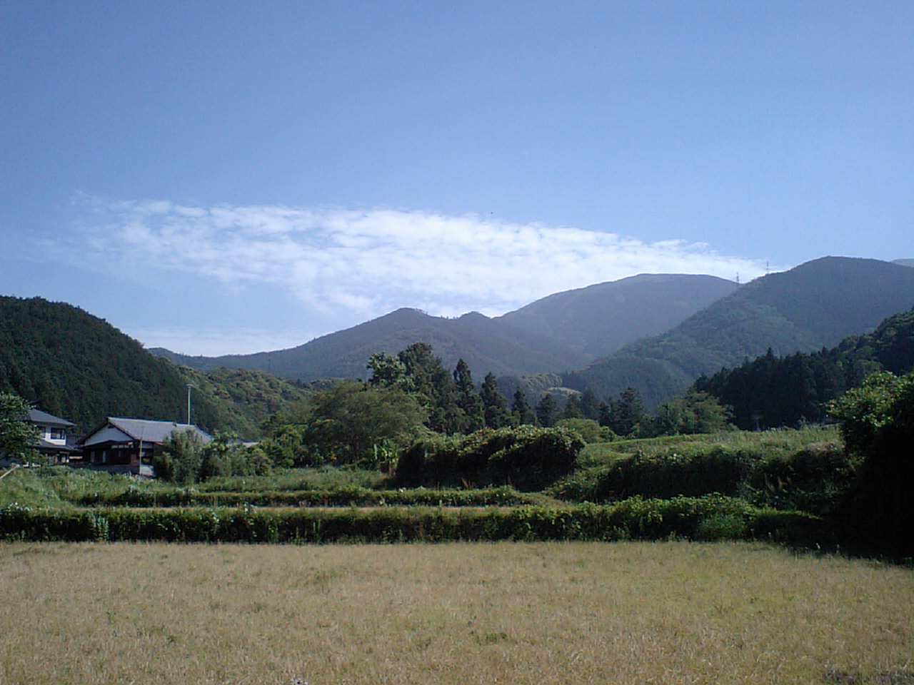 c0117028_16124329.jpg