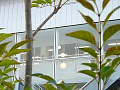 d0040733_12185559.jpg