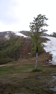 e0069433_23372651.jpg