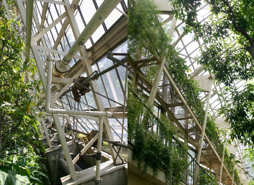 新宿御苑大温室 Botanic Journal 植物誌 新宿御苑大温室 Botanic Journal 植物誌