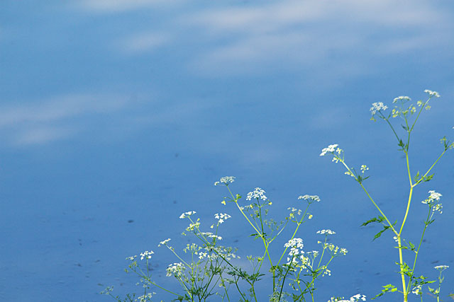 c0067040_2382162.jpg
