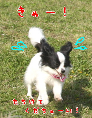 d0013149_11252912.jpg