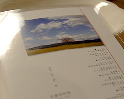 d0050155_22335777.jpg