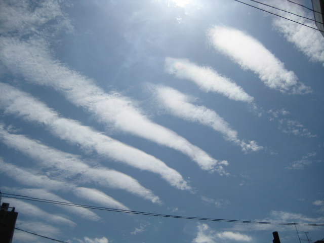 大空に泳げ！！_e0099756_13251284.jpg