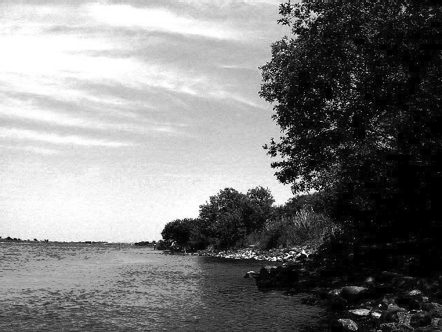 f0084561_11164021.jpg