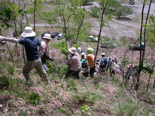 07足尾植樹_b0019564_2145471.jpg