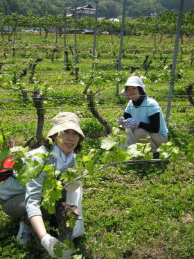 暑いです・・・・_b0016474_18435438.jpg