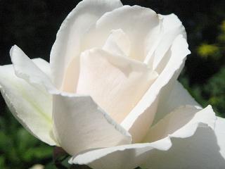 c0077283_13435866.jpg