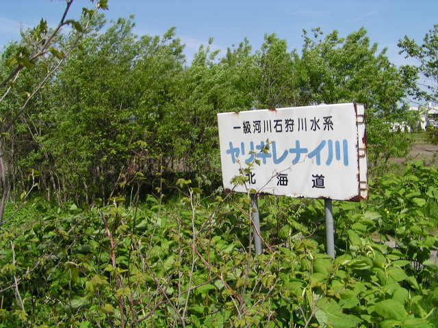 やりきれない?川_f0078286_1855353.jpg