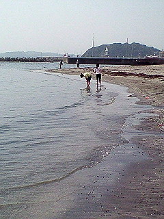 d0065116_2064744.jpg