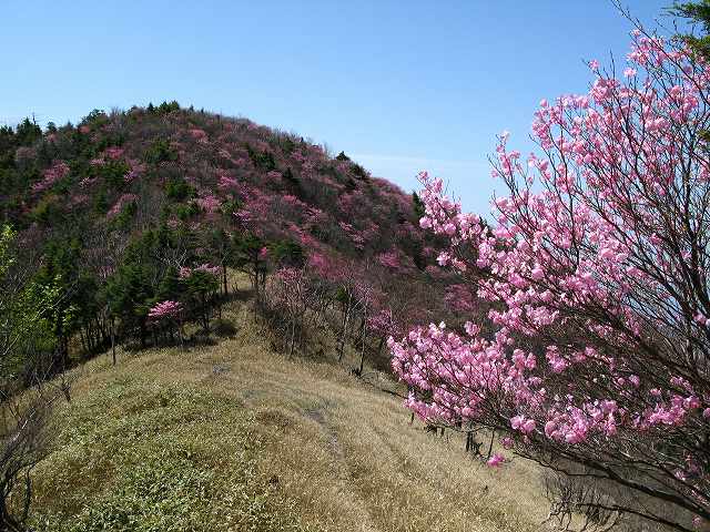 袈裟丸山　郡界尾根コース_d0098922_20315398.jpg