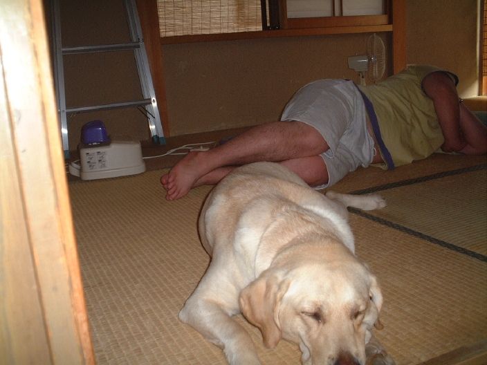 e0047026_2093424.jpg