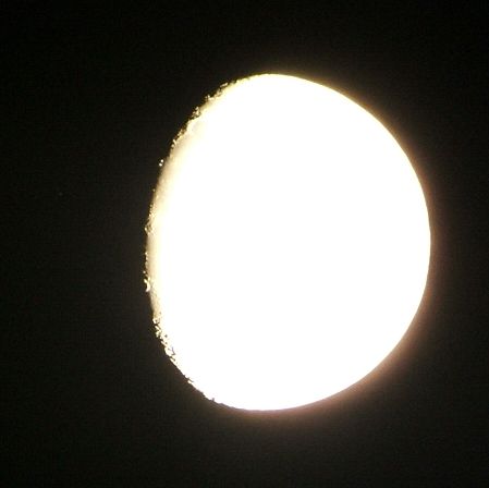 e0089232_2318323.jpg