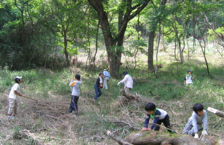 e0049740_18355637.jpg