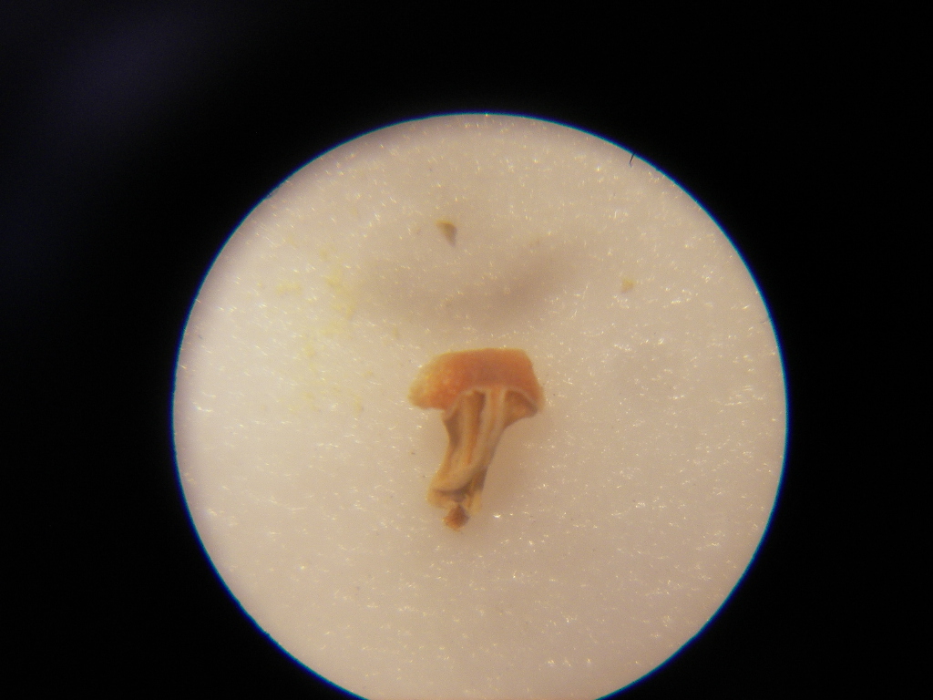 b0055151_1024945.jpg