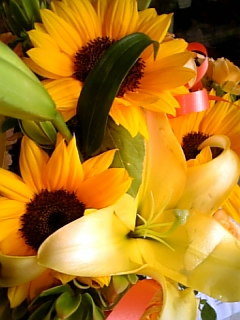 d0042851_13849.jpg