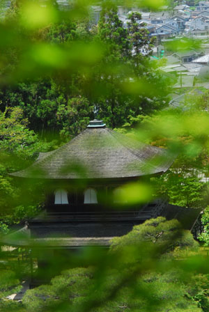 f0020352_20145033.jpg