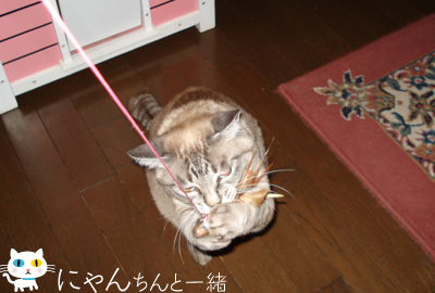 ダイエットしまーす!?_e0031853_0423392.jpg