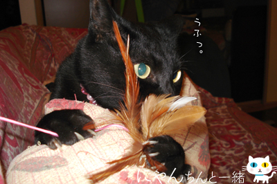 ダイエットしまーす!?_e0031853_0525355.jpg