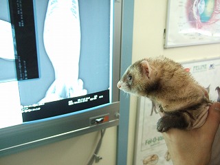 公害、人害(?)_b0059154_0493529.jpg
