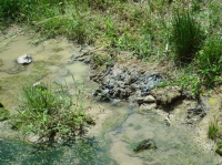 c0108460_15353258.jpg