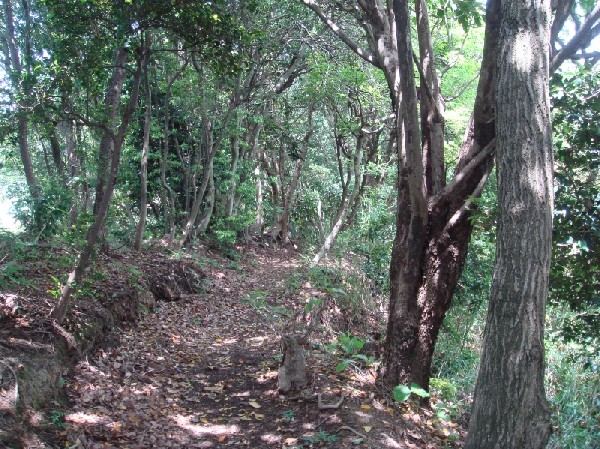 c0108460_15401727.jpg