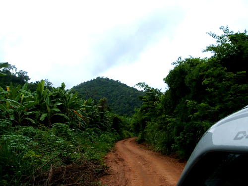 d0118876_1249493.jpg
