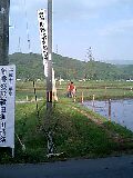 新嘗祭献穀米御田植祭_d0027486_7344880.jpg
