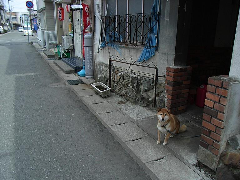 自転車旅行　遠野へ　『遠野帰り道』_c0108388_198926.jpg