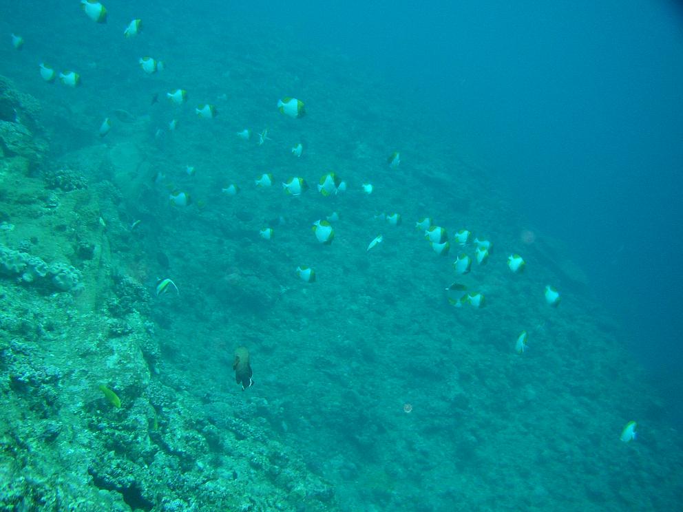 c0118393_1211370.jpg