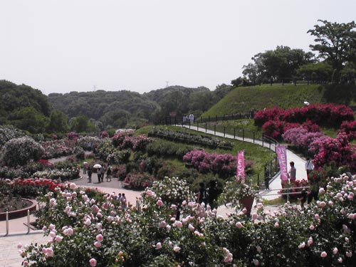 c0032212_1131243.jpg