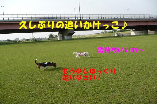 f0121712_15402427.jpg