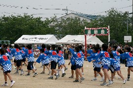 d0025414_15462165.jpg