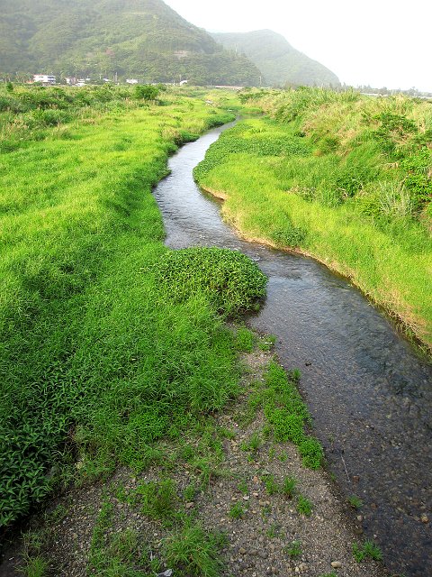 大川探鳥会の下見_a0080832_23543988.jpg