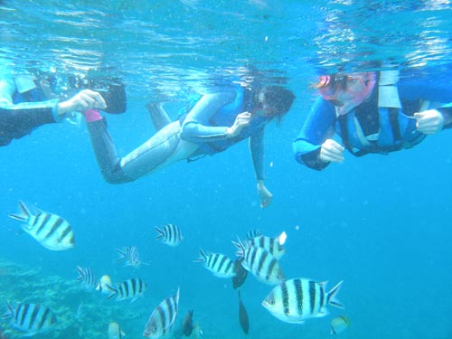5月28日湖みたいな海♪_c0070933_20461141.jpg