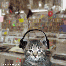c0042941_22201637.gif