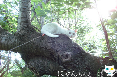 森と交信中_e0031853_13471231.jpg