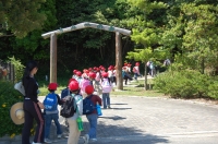 c0108460_1744737.jpg