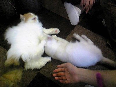c0024265_146192.jpg