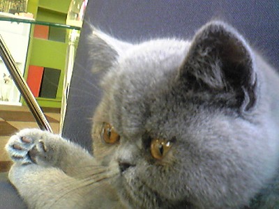 c0024265_147396.jpg